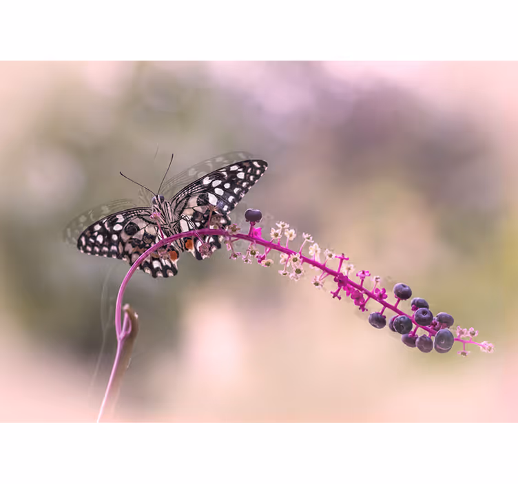 Tapisserie fleur papillon sur une plante - TenStickers