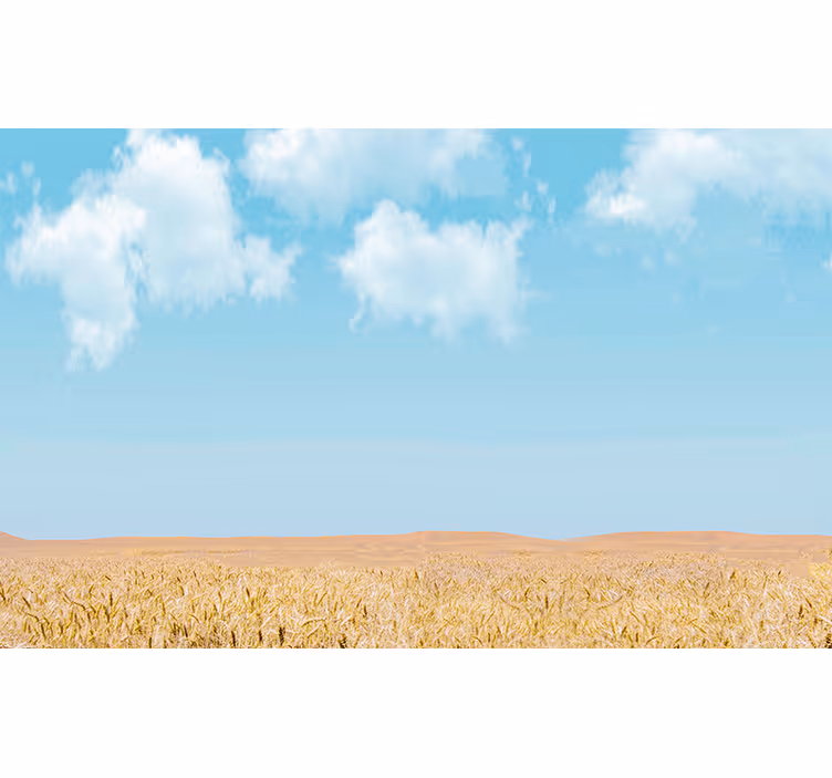 Tapisserie murale paysage ciel et blé - TenStickers