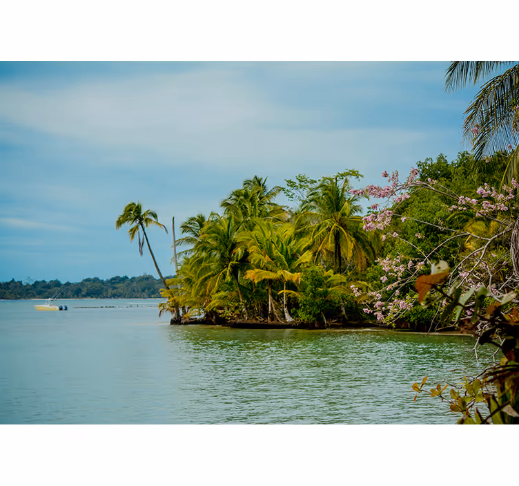 Papier peint mural mer Plage paradisiaque en colombie - TenStickers