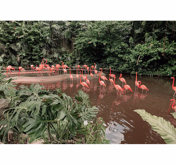 Papier peint nature Flamants roses paisibles dans un lac - TenStickers