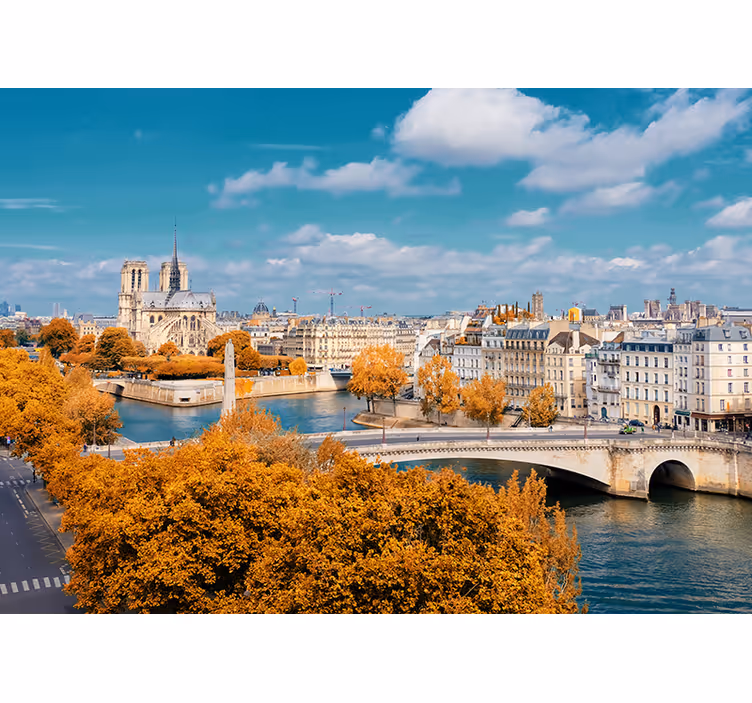 Tapisserie paris vue d'automne sur notre dame - TenStickers