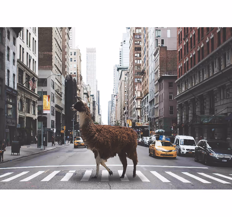 Tapisserie murale animaux lama dans la rue - TenStickers