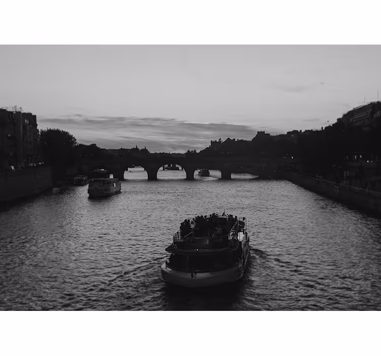 Tapisserie ville vue sur la rivière paris - TenStickers