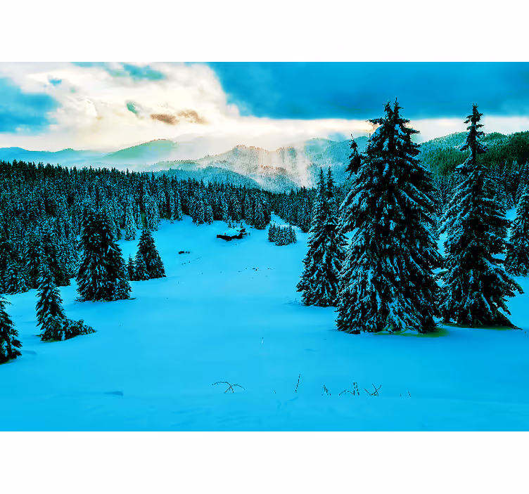 Tapisserie murale paysage forêt de pins enneigée - TenStickers
