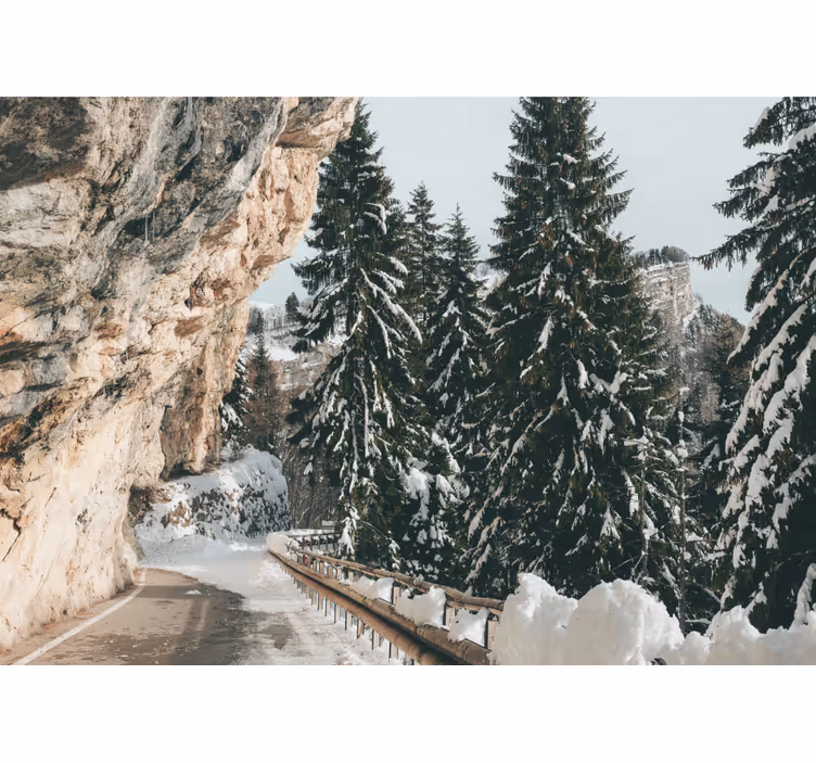 Tapisserie murale paysage scène hivernale de pins - TenStickers