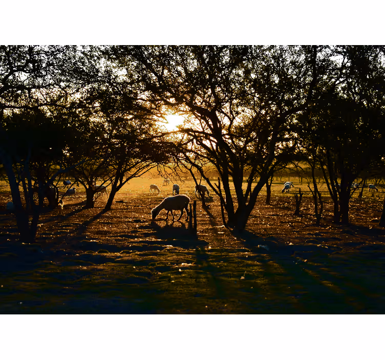 Tapisserie nature crépuscule doré au pâturage - TenStickers