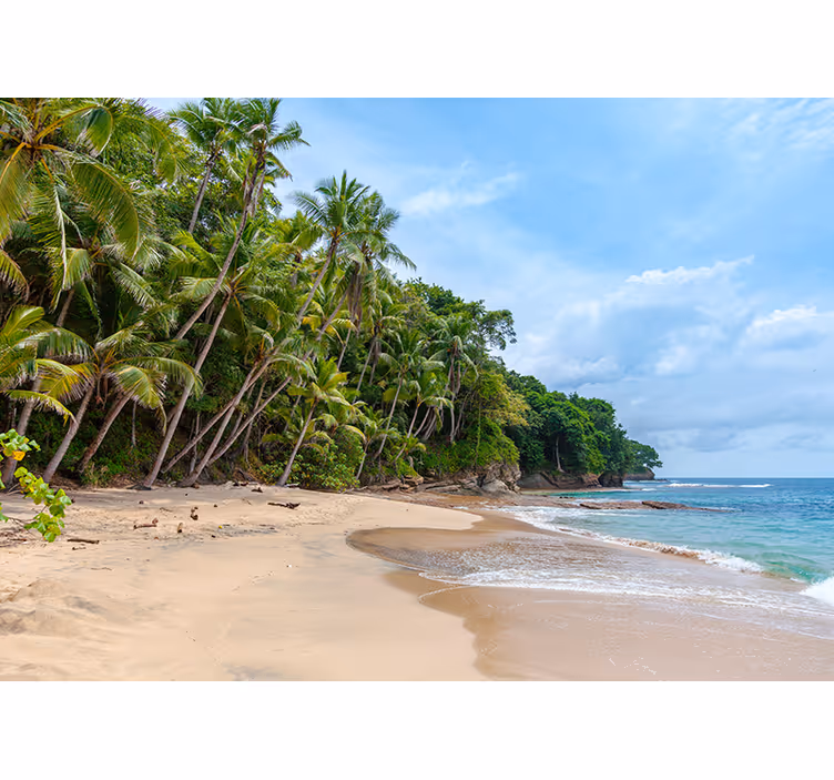 Tapisserie nature oasis tropicale de rivage - TenStickers