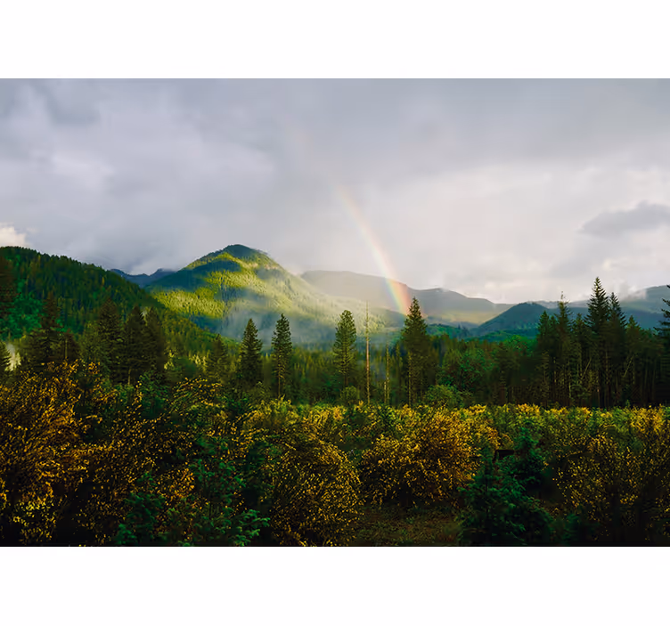 Papier peint nature Paysage avec arc en ciel - TenStickers