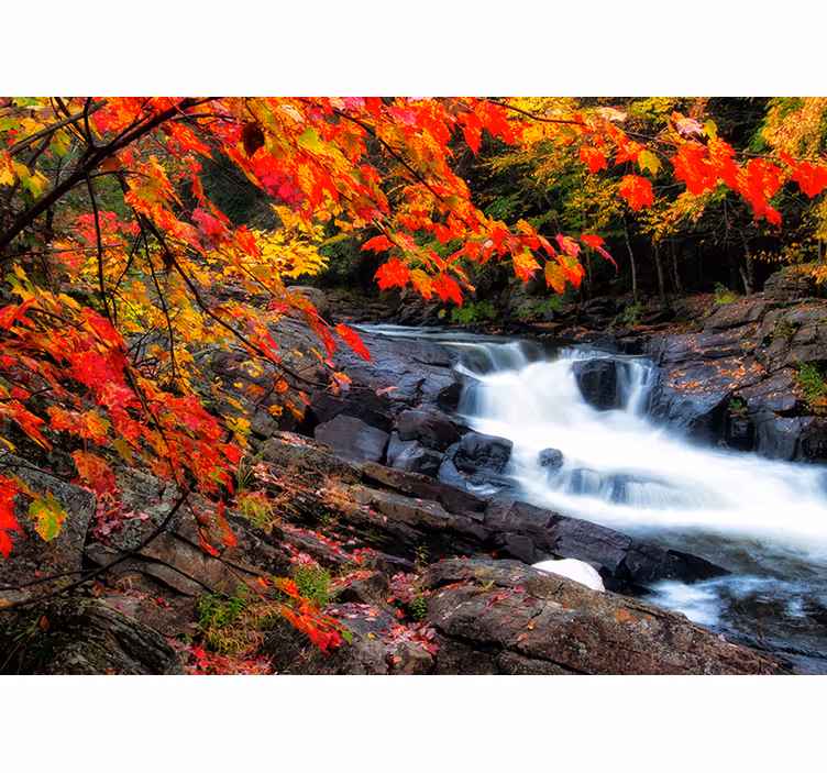 Papier peint mural Paysage d'automne feuilles - TenStickers
