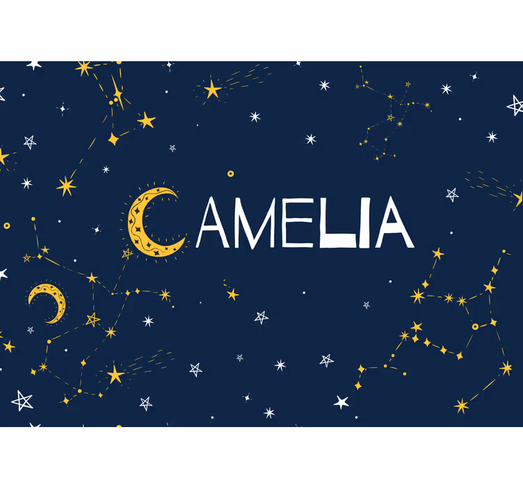 Papier peint chambre ado Constellations et lune - TenStickers