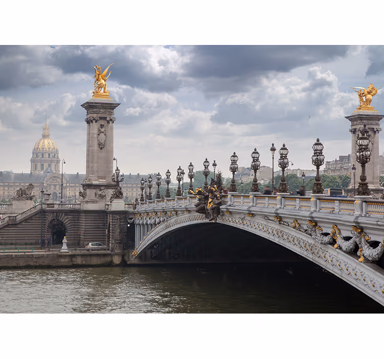 Tapisserie ville vue du pont alexandre iii - TenStickers