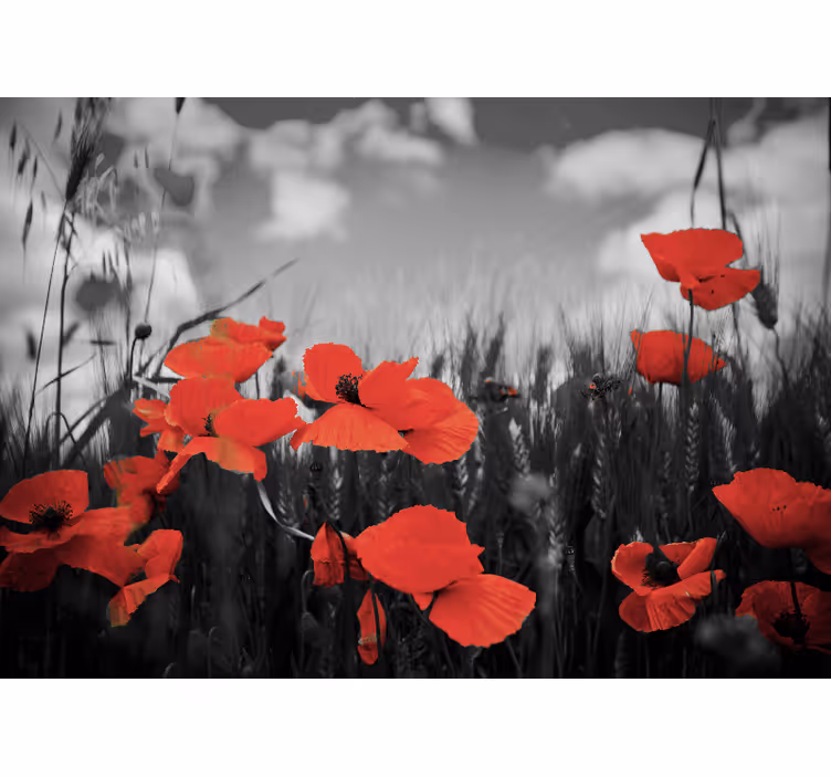 Papier peint nature Graines de pavot rouge - TenStickers