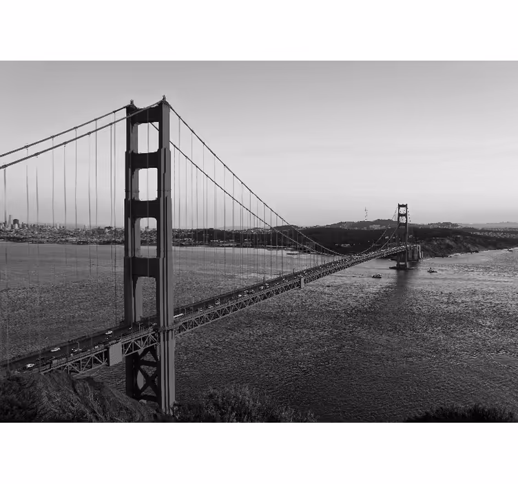 Papier peint villes Porte dorée noir et blanc - TenStickers