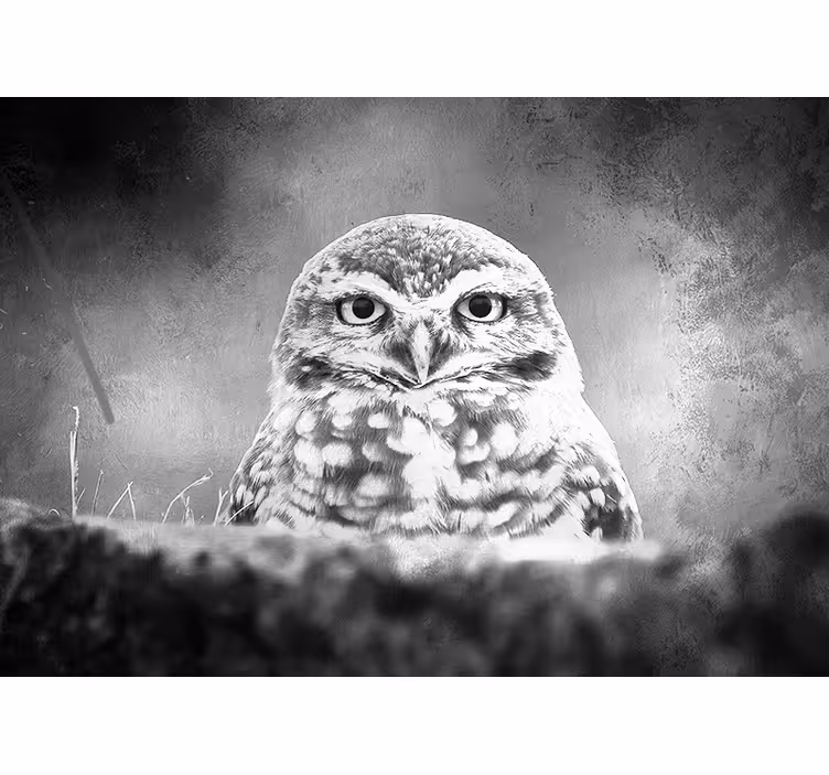 Papier peint mural d'animaux Hibou noir et blanc - TenStickers