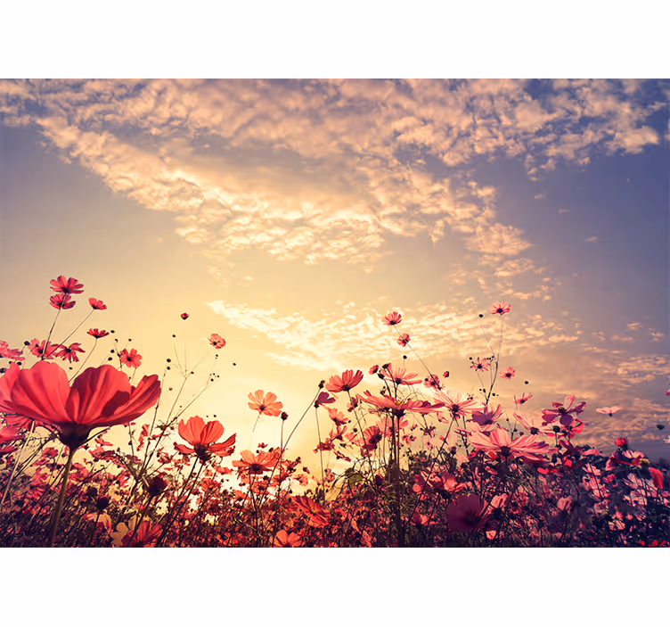 Papier peint mural de fleurs Paysage naturel fond fleurs - TenStickers