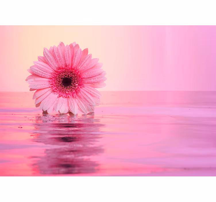 Papier peint mural de fleurs Fleurs de gerbera roses - TenStickers
