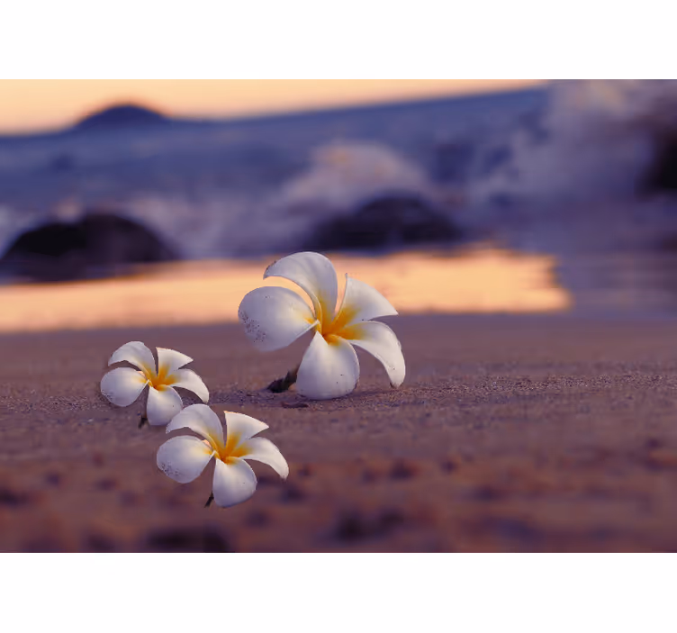 Tapisserie murale coquelicots trio de fleurs tropicales - TenStickers