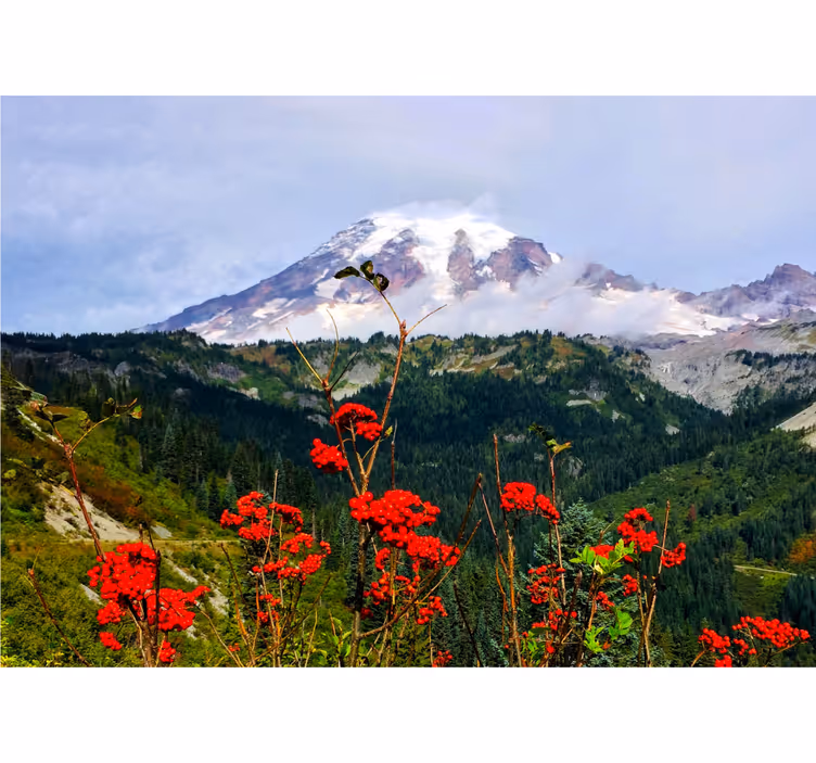 Papier peint mural de fleurs Montagne et fleurs rouges - TenStickers
