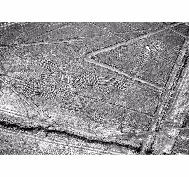 Tapisserie murale animaux araignée de nazca - TenStickers