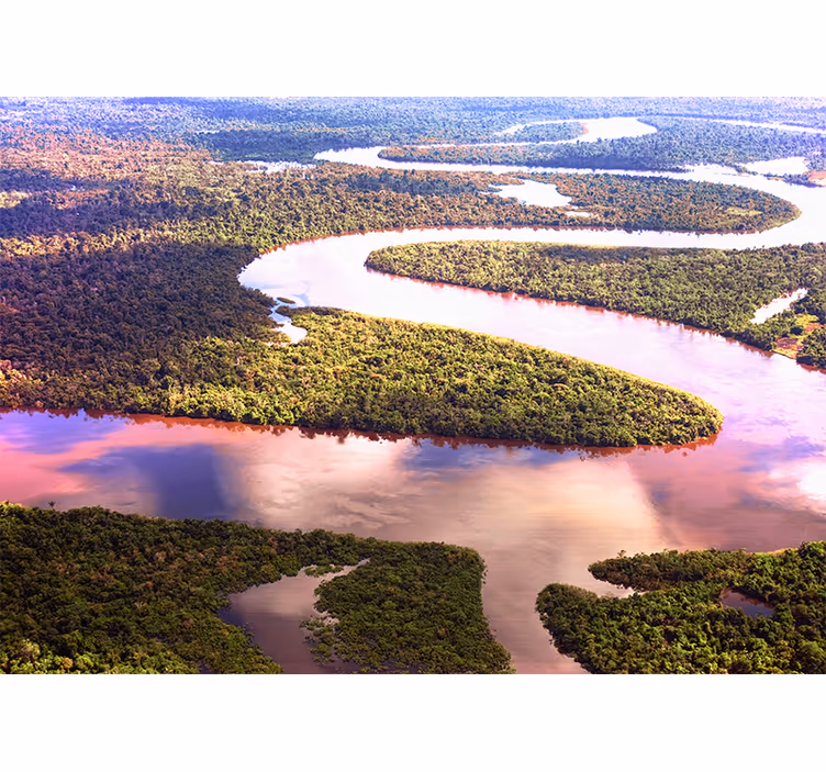 Papier peint nature La rivière amazone - TenStickers