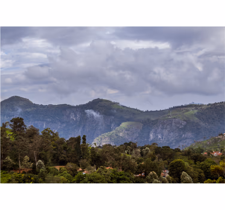 Tapisserie murale paysage vue apaisante sur les montagnes - TenStickers