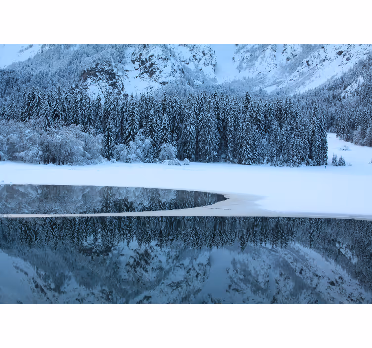 Tapisserie murale paysage hiver serein - TenStickers