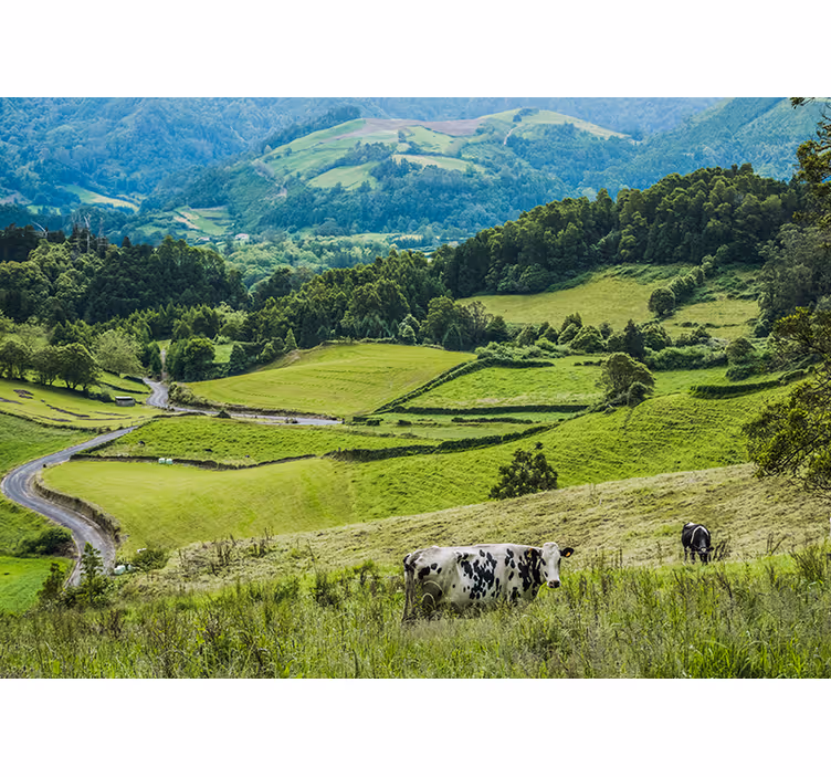 Tapisserie murale paysage champs verts ondulants - TenStickers