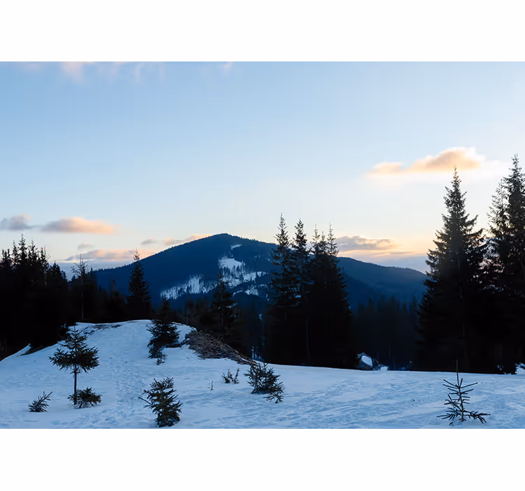 Tapisserie montagne paysage de sommet enneigé - TenStickers