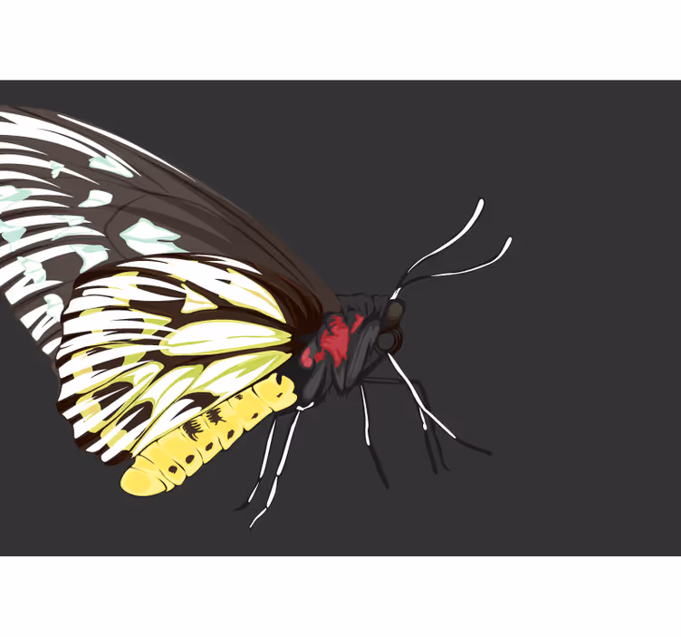 Papier peint mural d'animaux Papillon jaune détaillé réaliste - TenStickers