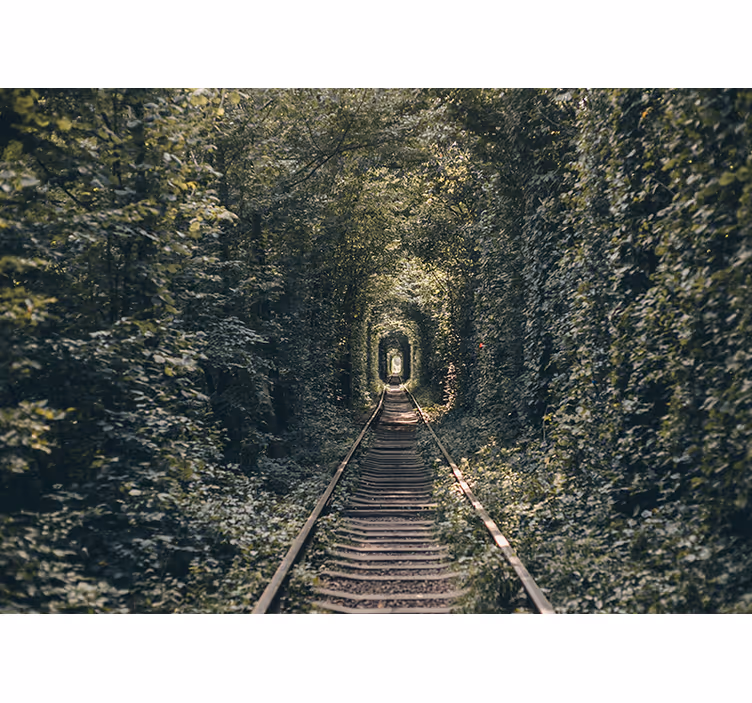 Tapisserie murale paysage tunnel ferroviaire nature - TenStickers
