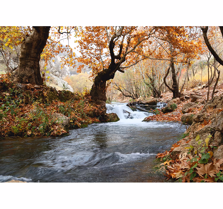 Papier peint nature Paysage d'automne de la rivière - TenStickers