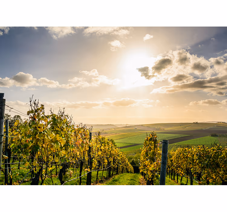 Tapisserie murale paysage vue sur le coucher de soleil - TenStickers