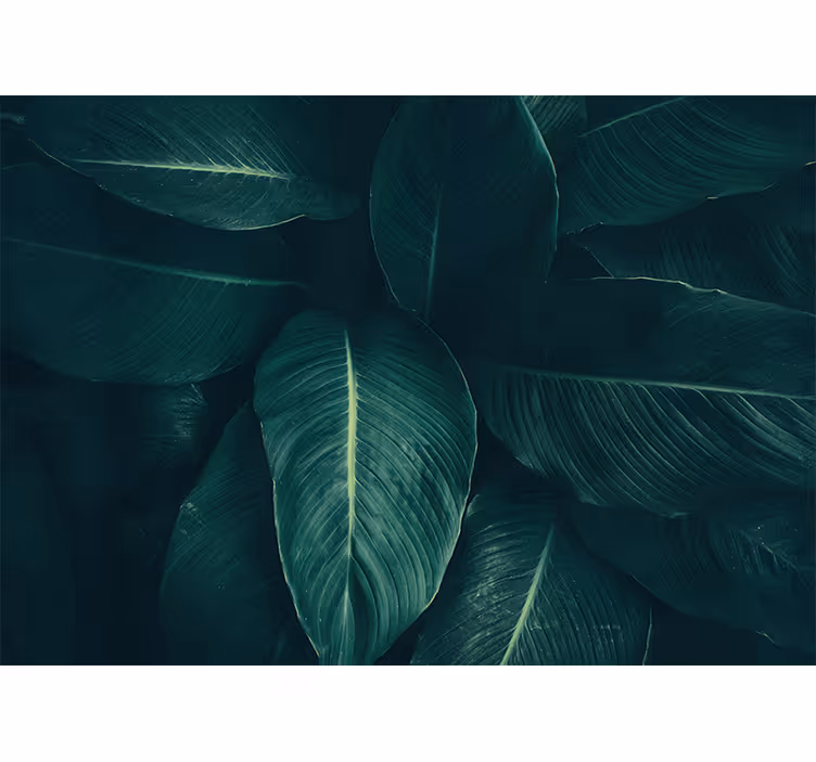 Papier peint nature Grandes feuilles tropicales vertes - TenStickers