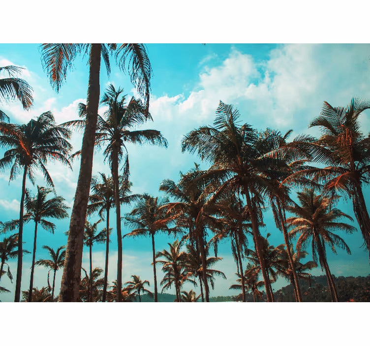 Papier peint salon Beaux palmiers paysage calme - TenStickers