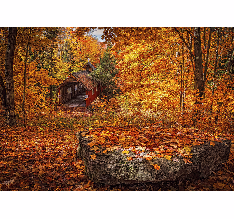 Papier peint  forets Paysage automne de feuille - TenStickers