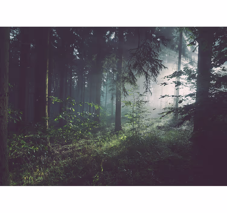 Papier peint mural forets Vert clair intense - TenStickers