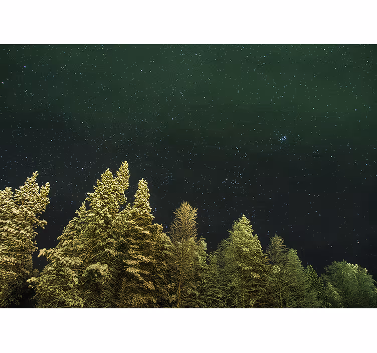 Tapisserie forêt pin étoilé - TenStickers