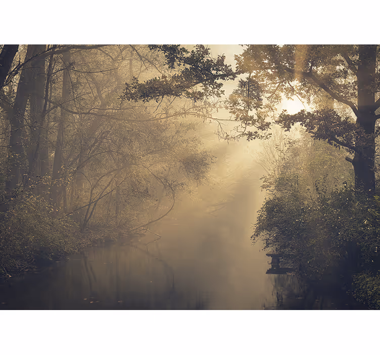 Photo murale Grands arbres et rayons de soleil - TenStickers