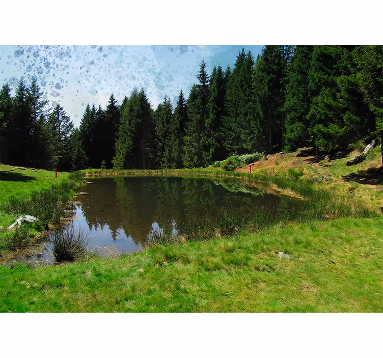 Tapisserie murale paysage vue sur une forêt paisible - TenStickers