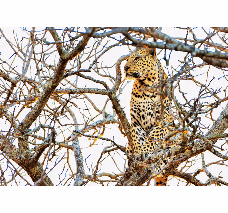 Tapisserie autres animaux léopard parmi les branches - TenStickers
