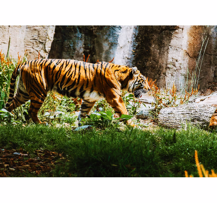 Papier peint salon Tigre dans la jungle - TenStickers