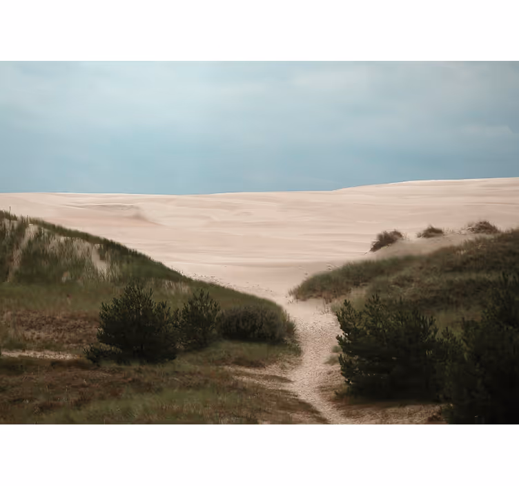 Tapisserie murale paysage chemin de dunes de sable - TenStickers