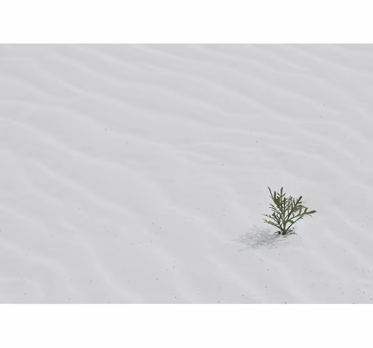 Papier peint mural desert Sable blanc - TenStickers