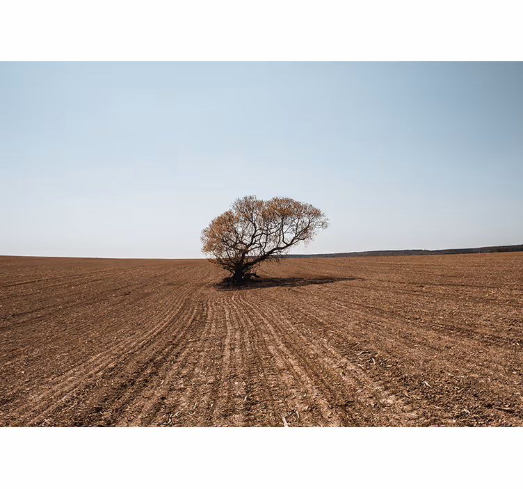 Tapisserie nature paysage d'arbre solitaire - TenStickers