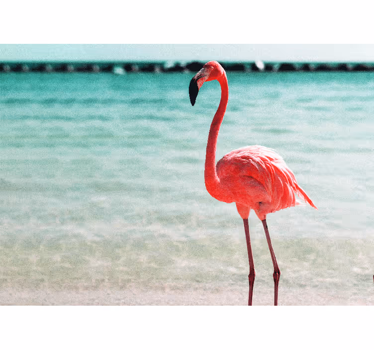 Papier peint salon Flamants roses mignons sur la plage - TenStickers