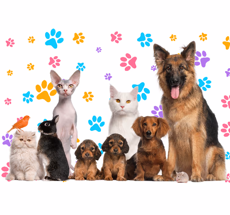 Papier peint mural d'animaux Chiens et chats - TenStickers