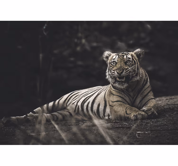Tapisserie murale animaux tigre majestueux en posture - TenStickers