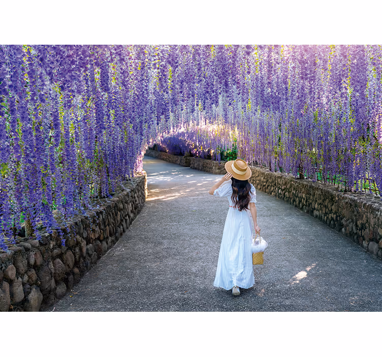 Tapisserie fleur chemin de fleurs de glycine - TenStickers