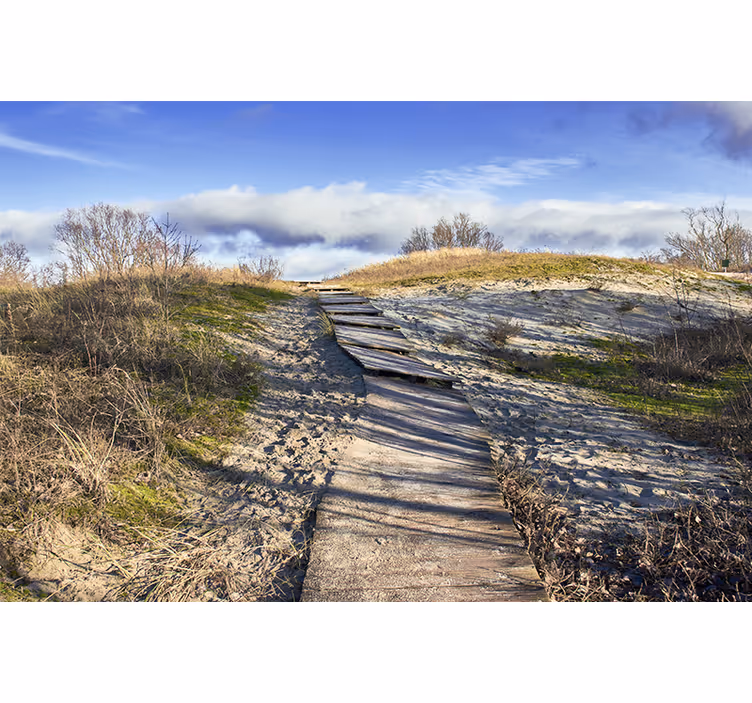 Tapisserie murale paysage chemin en bois - TenStickers
