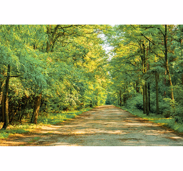 Tapisserie nature chemin verdoyant luxuriant - TenStickers